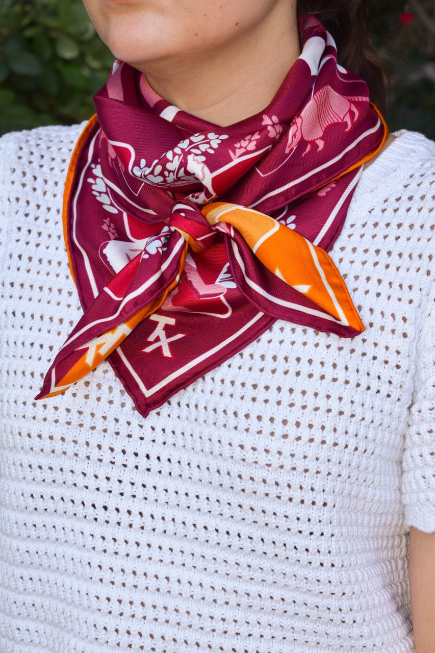House Divided Scarf - Austin v. College Station