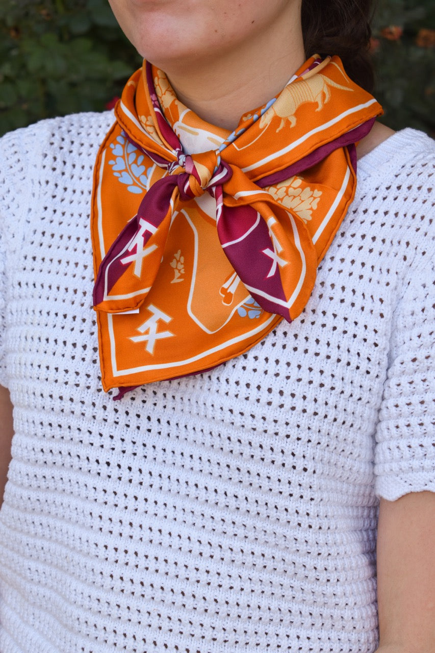 House Divided Scarf - Austin v. College Station