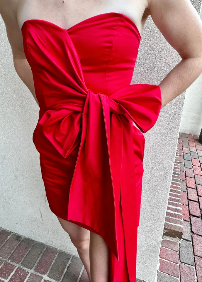 Florida Winter Strapless Dress