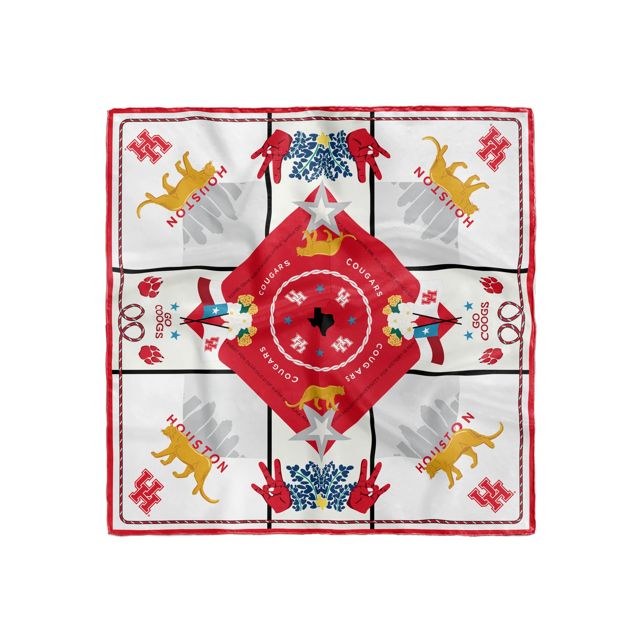 Game Day Silk Scarf