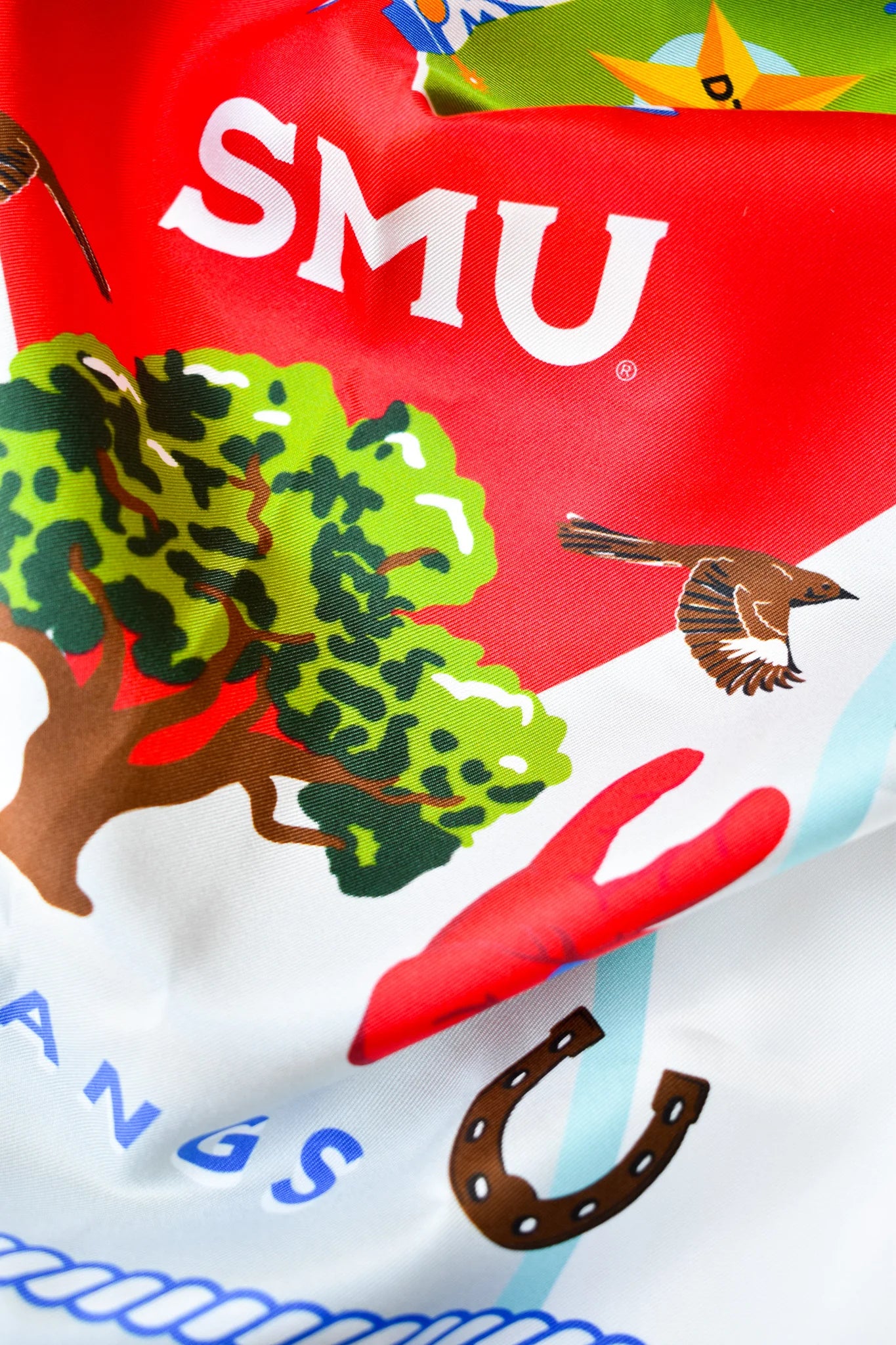 Game Day Silk Scarf