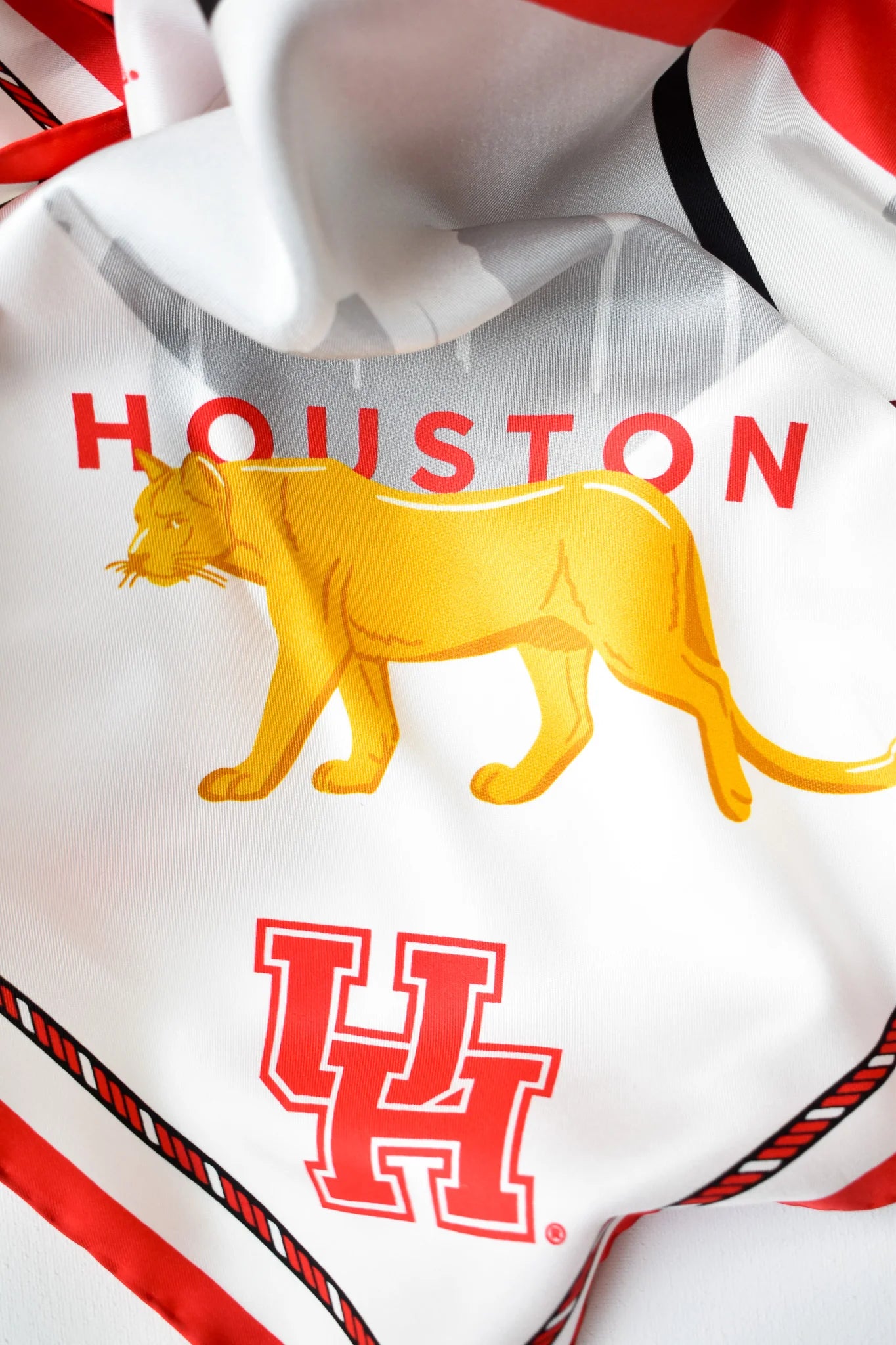 Game Day Silk Scarf