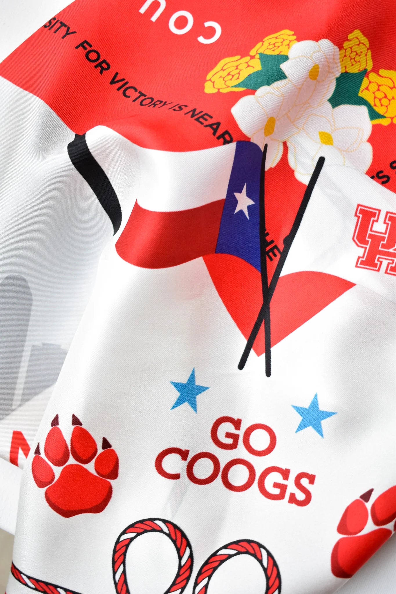 Game Day Silk Scarf