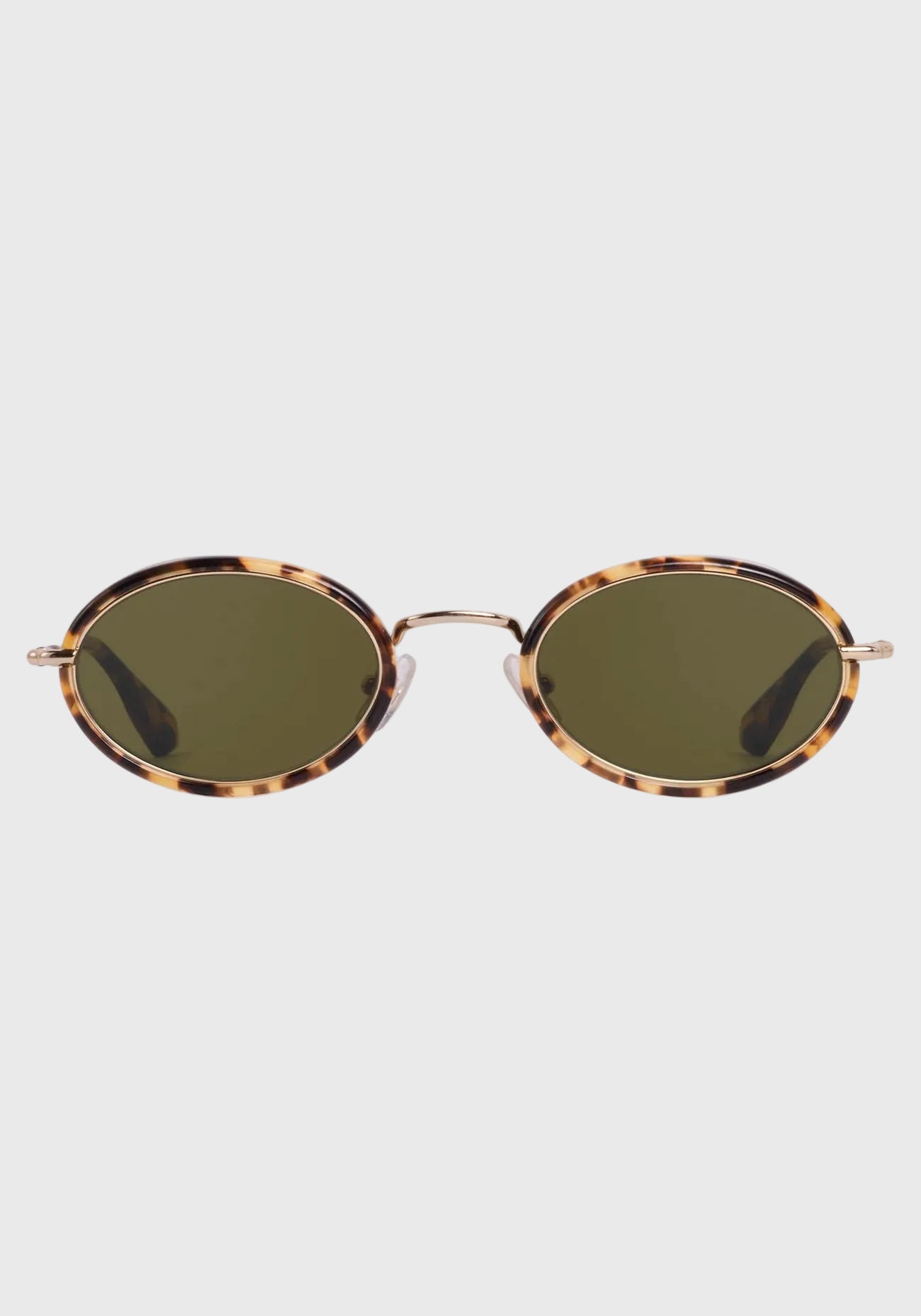 KATE | 12K + Nikko Tortoise