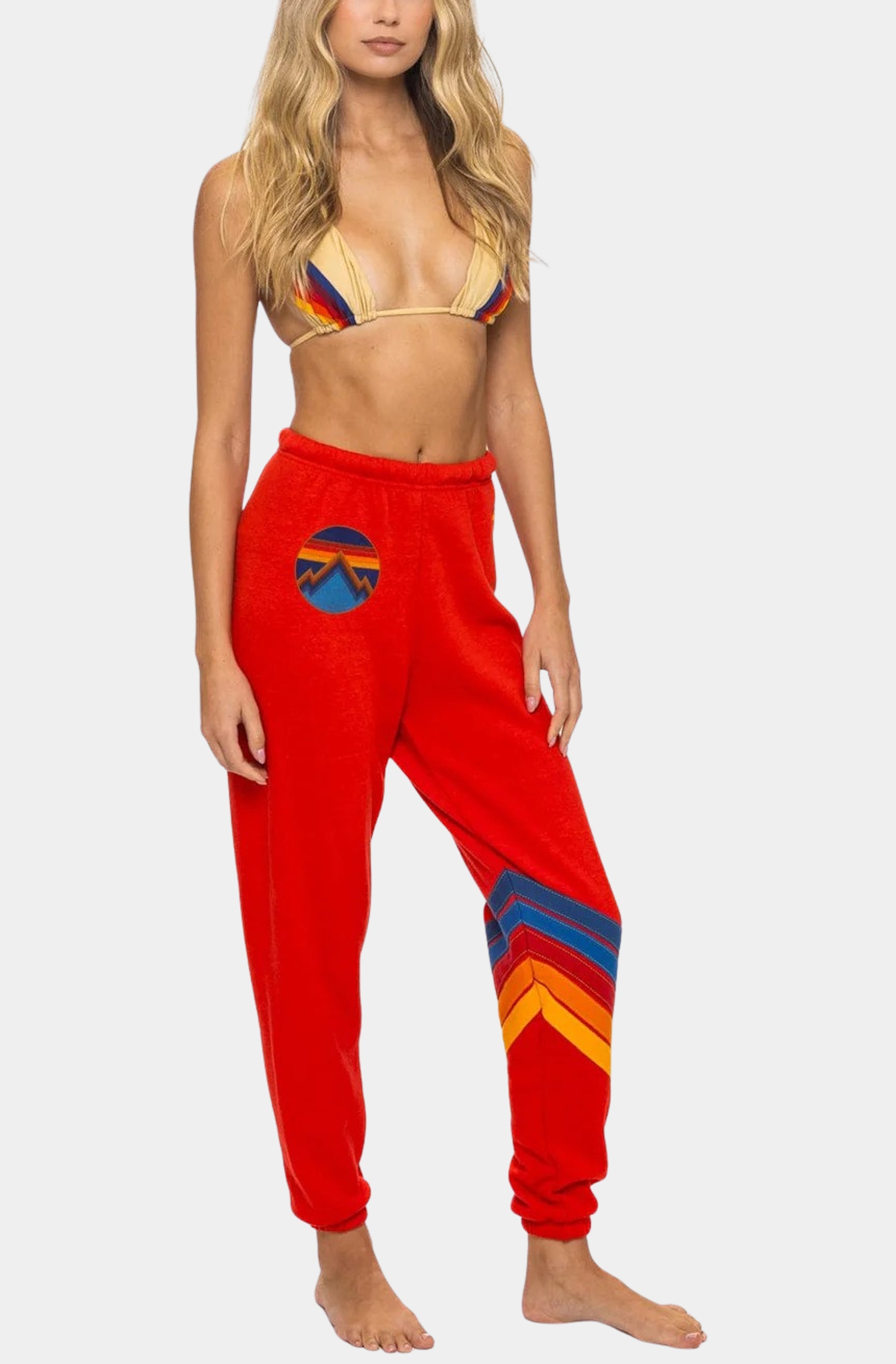 All Seasons Circle Chevron Sweatpants
