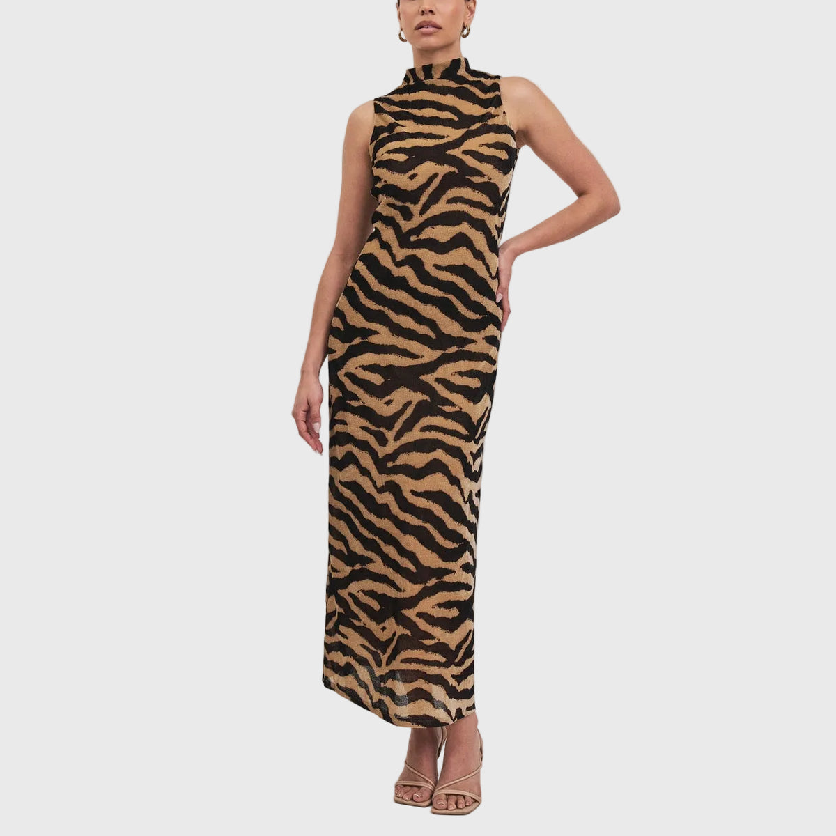 Zebra Dress