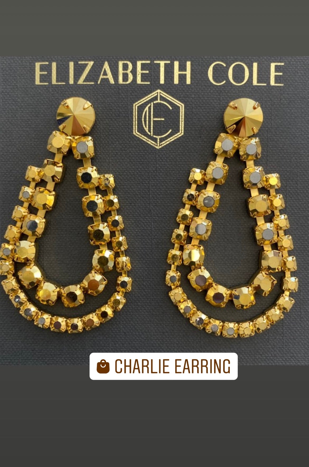 Charlie Earrings